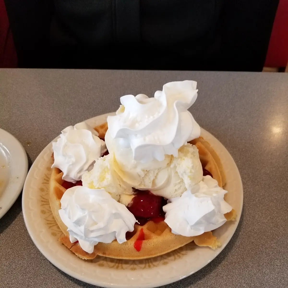 Alaskan Waffle with Ice Cream