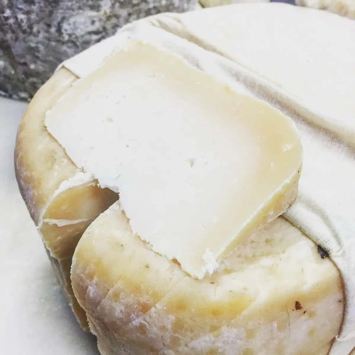 Goat Cheese