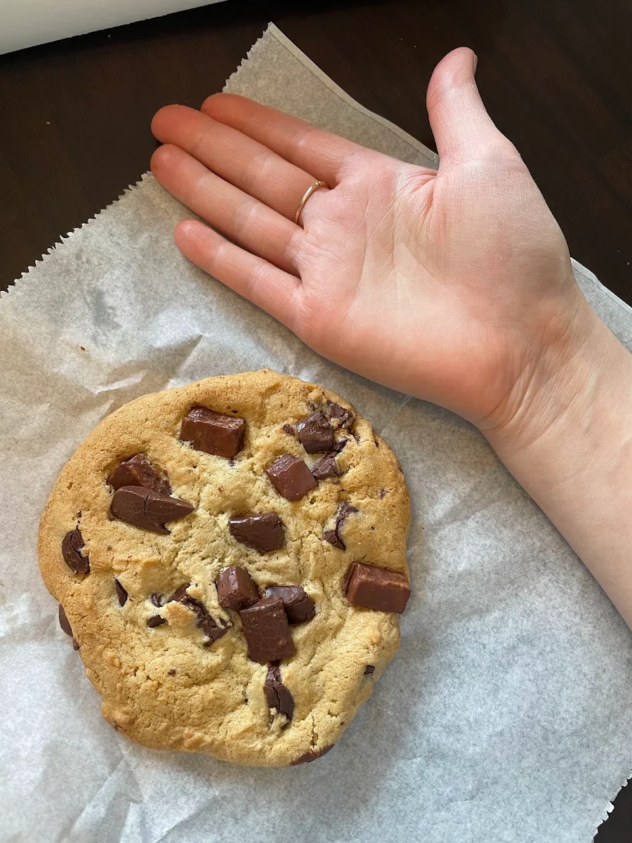 Chocolate Chip Cookie