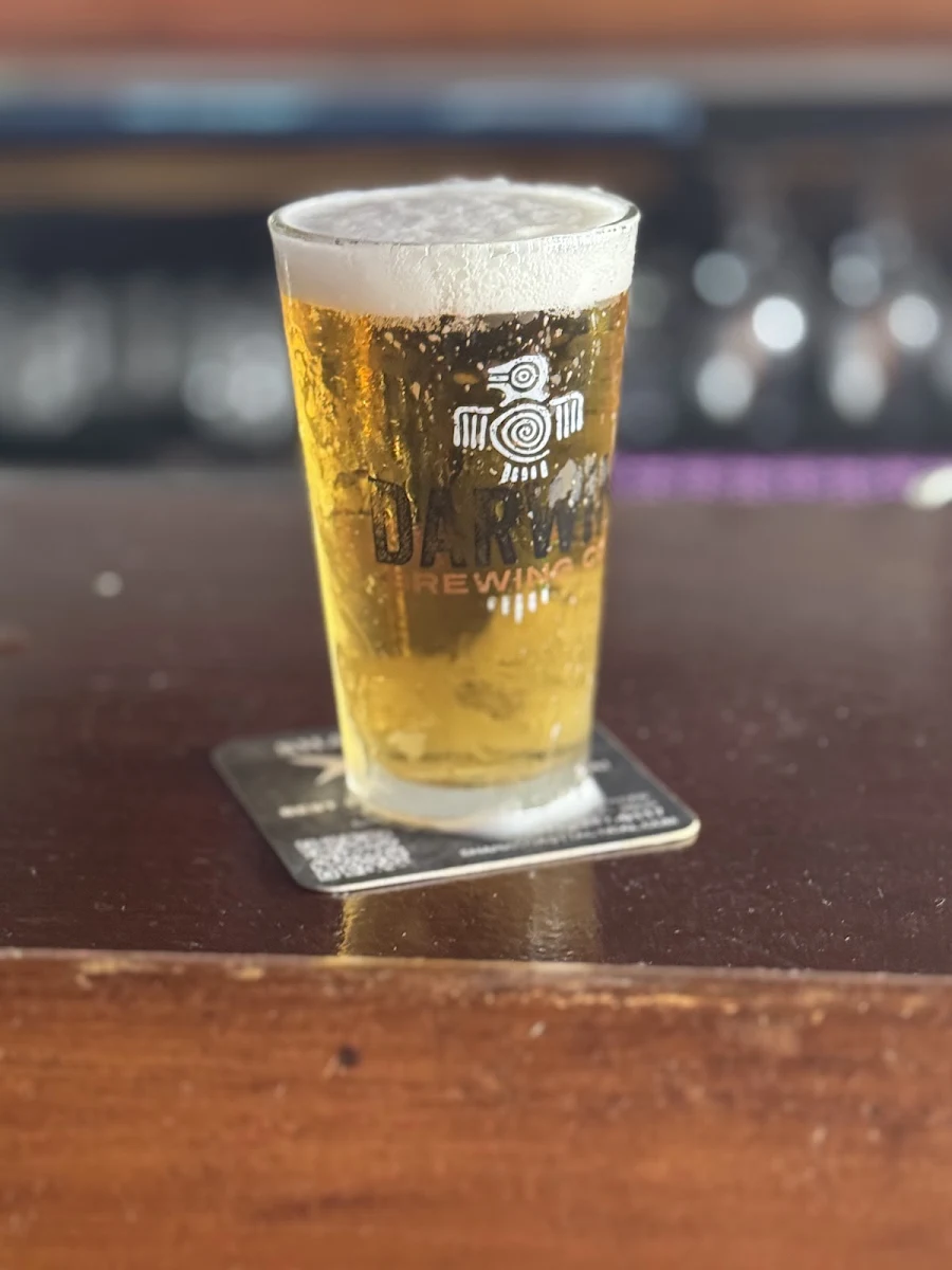 Coldest Coors Light Draft in Sarasota