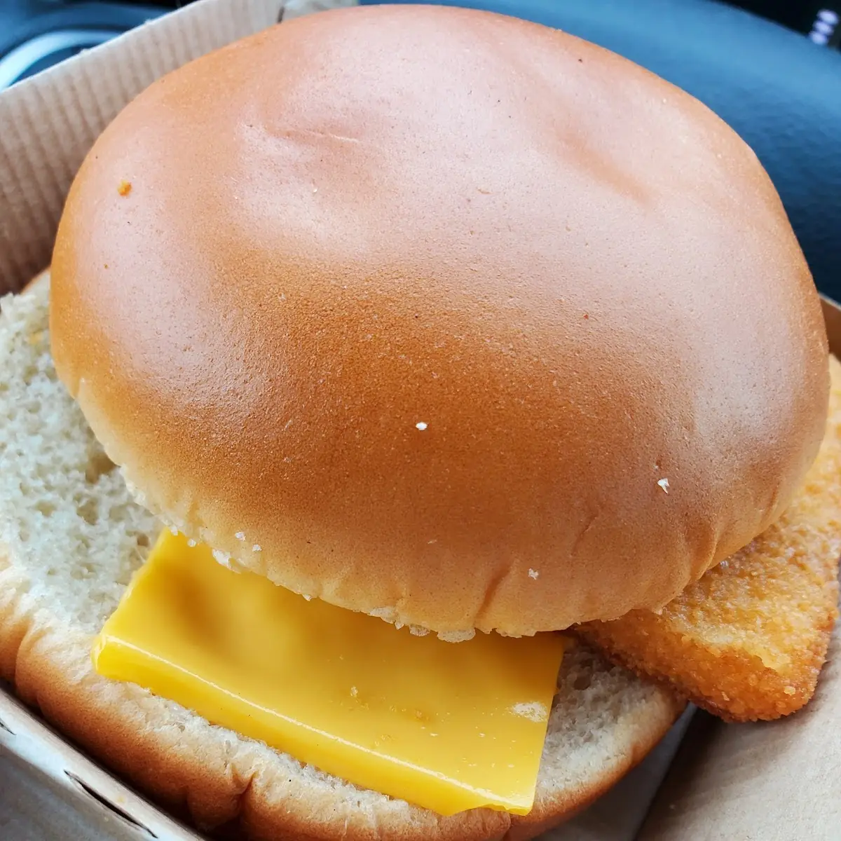 Fish Filet