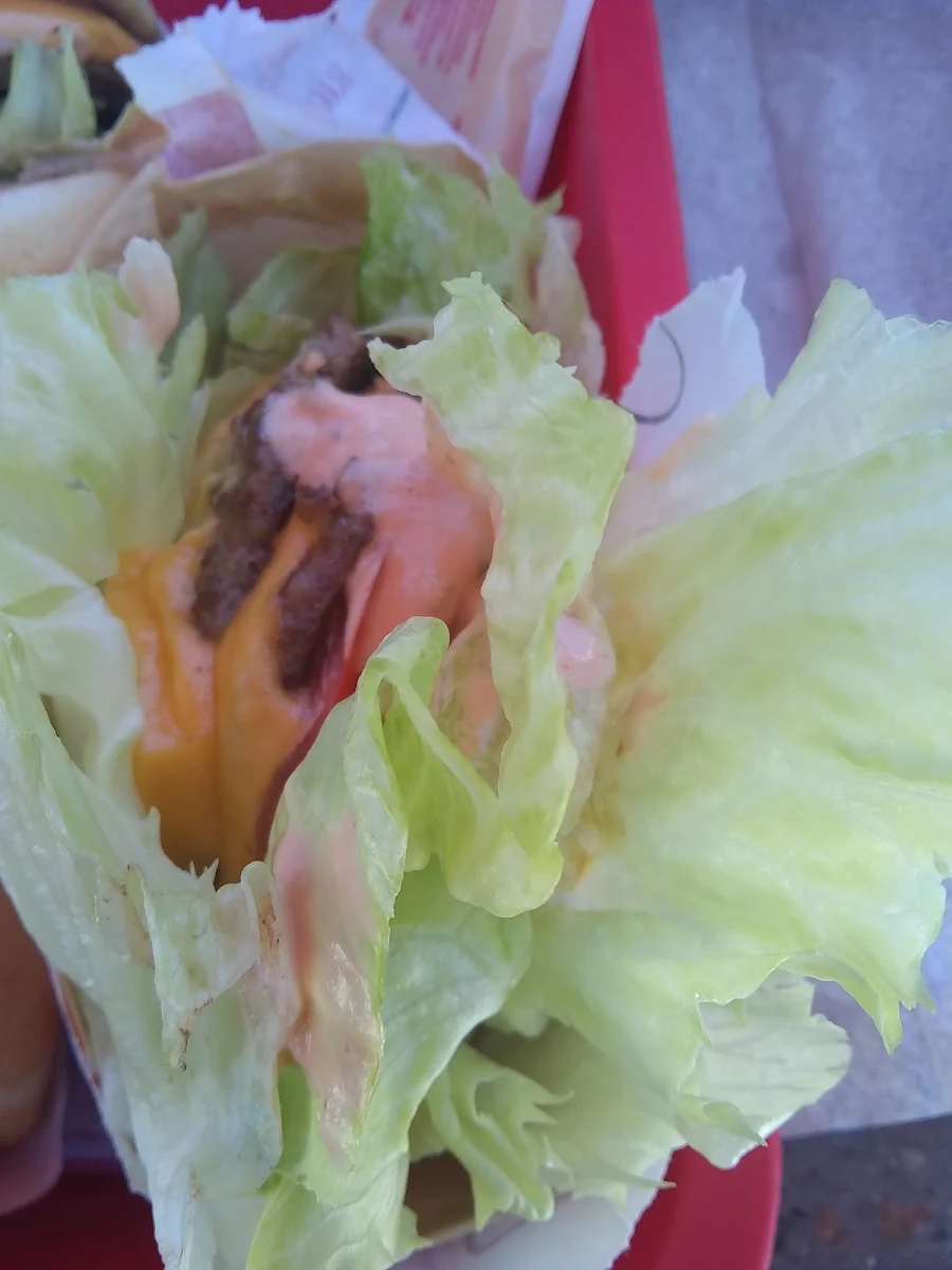 Protein Burger