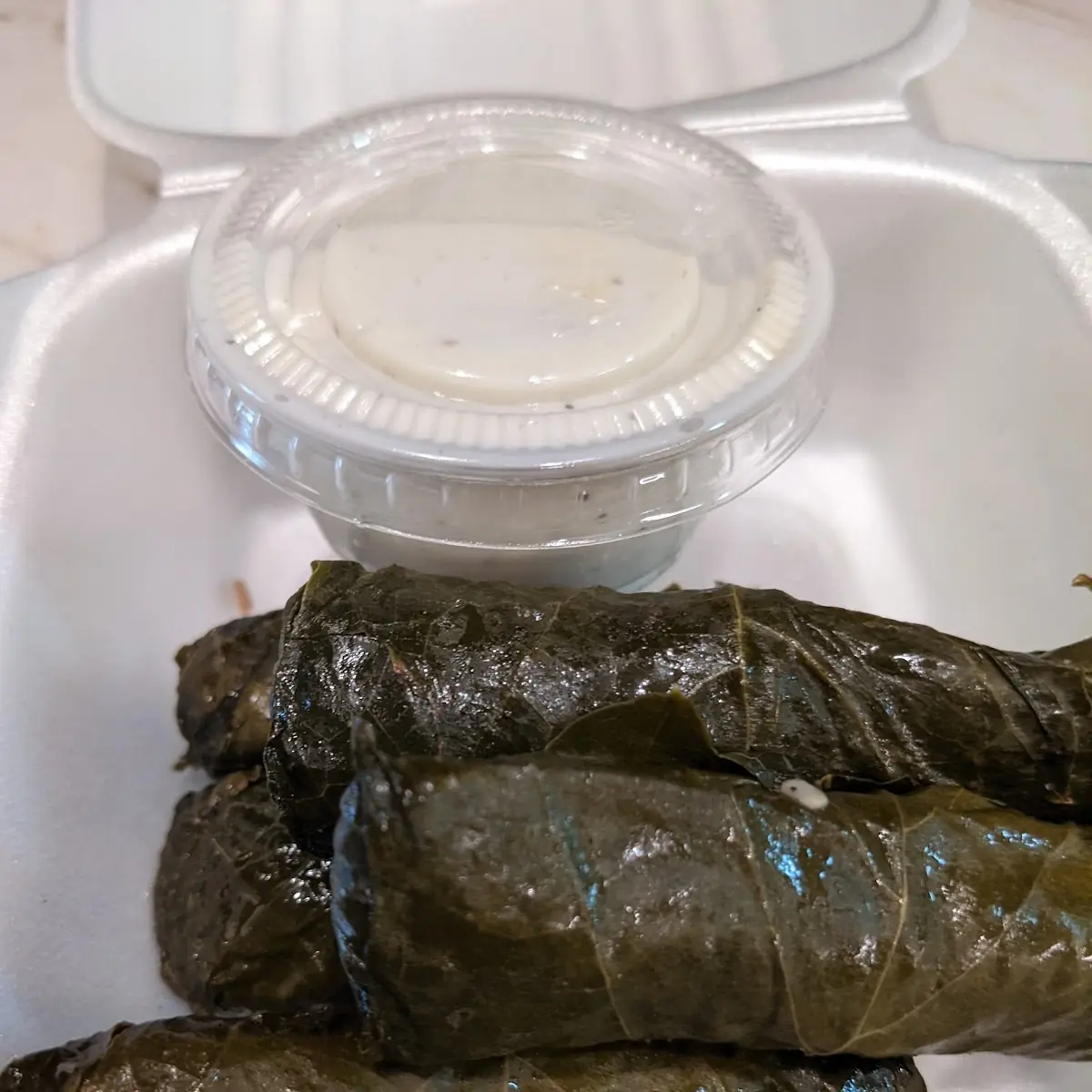 Stuffed Grape Leaves
