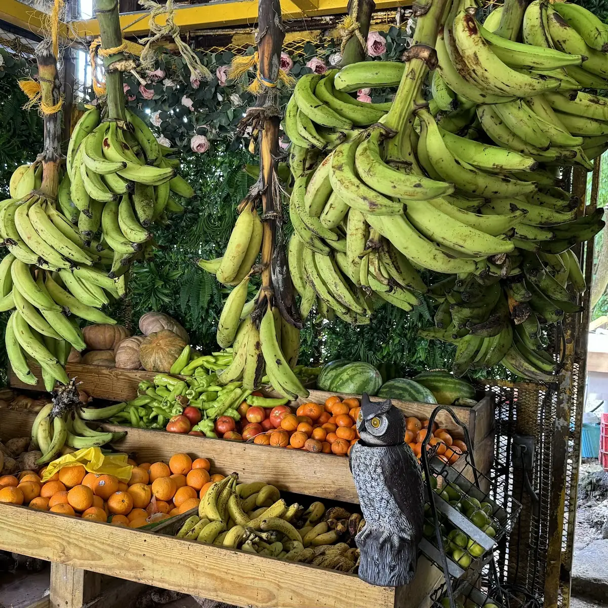 Fresh Fruit