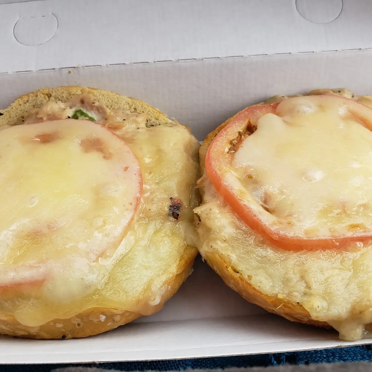 Tuna Melt