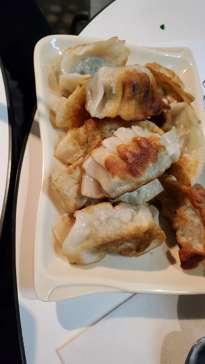 Pan Fried Dumplings