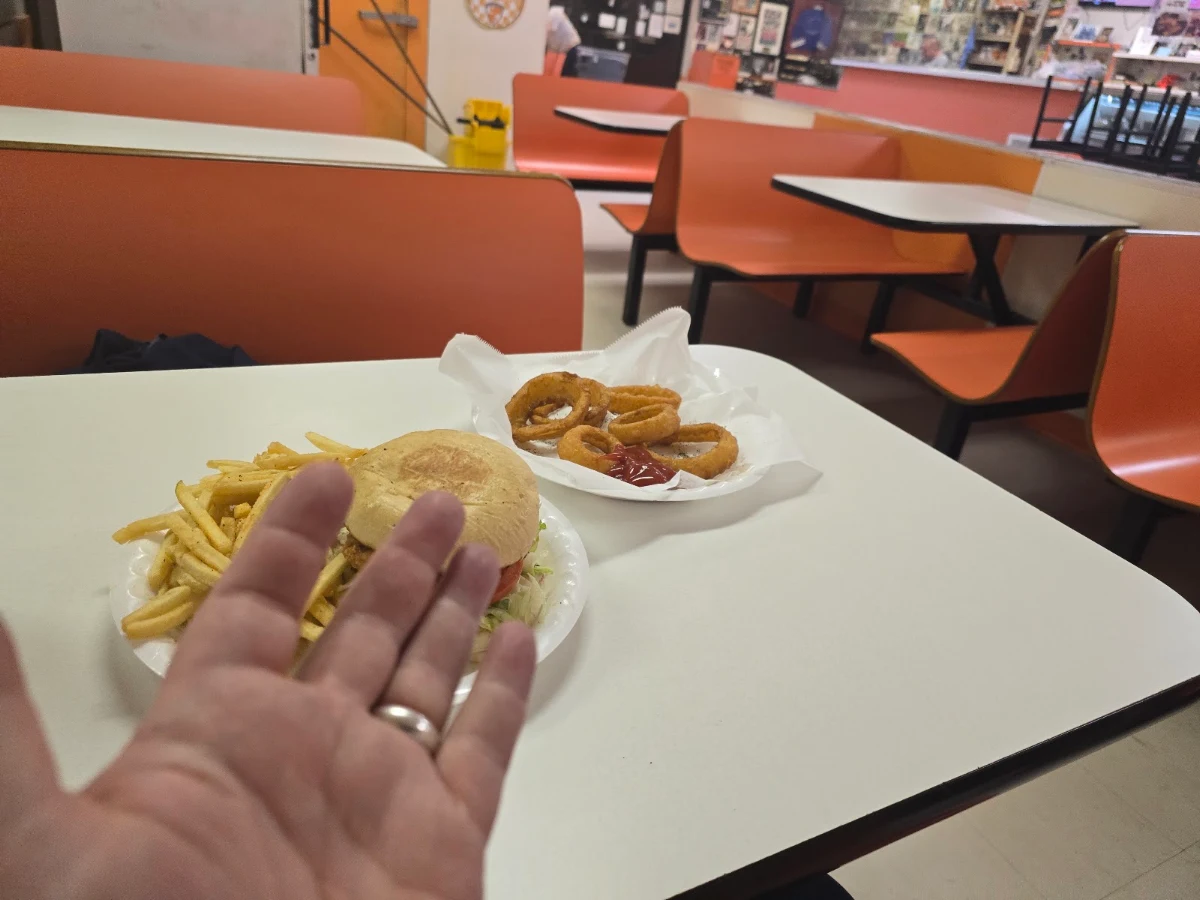 Chicken Sandwich and Onion Rings