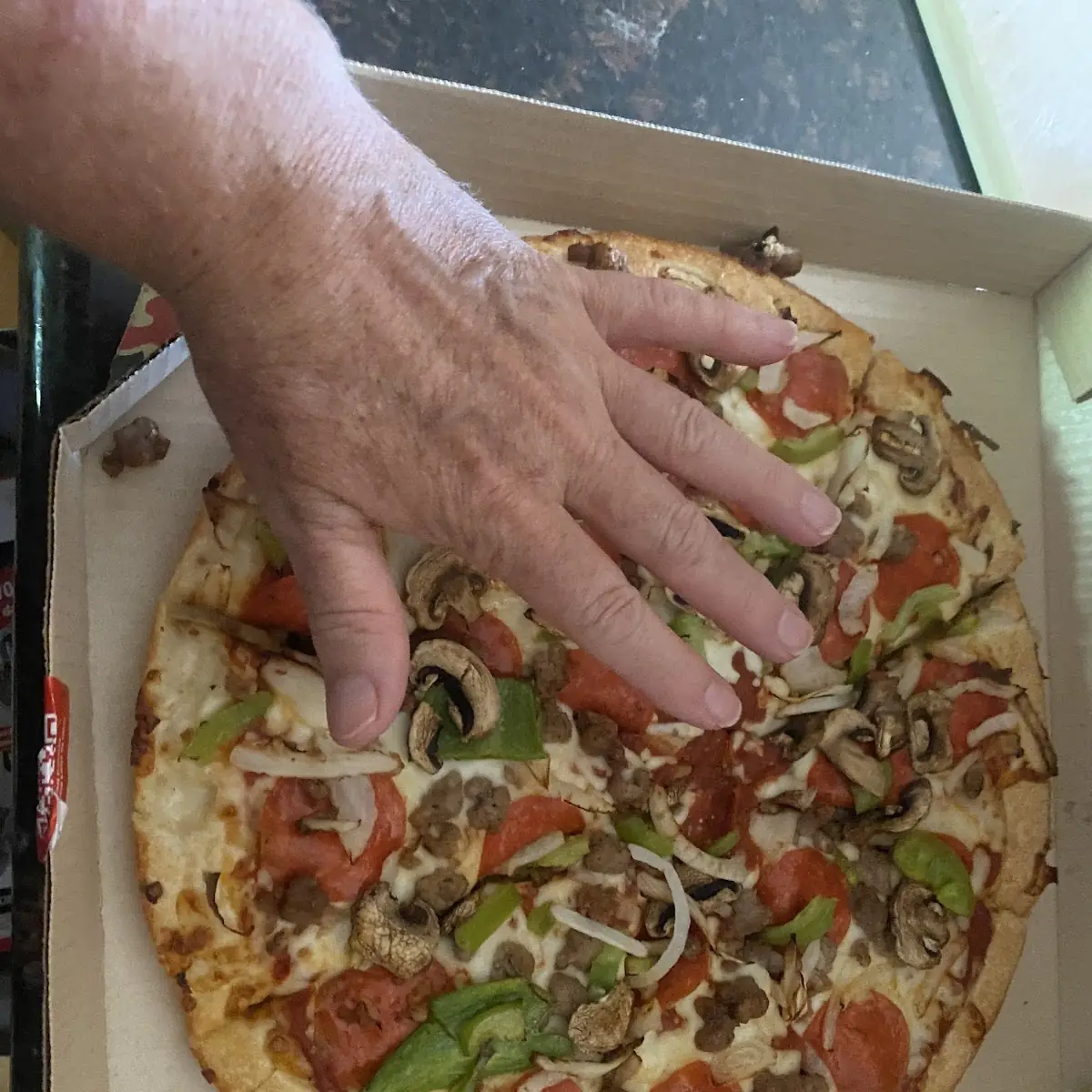 Veggie Lover's Pizza