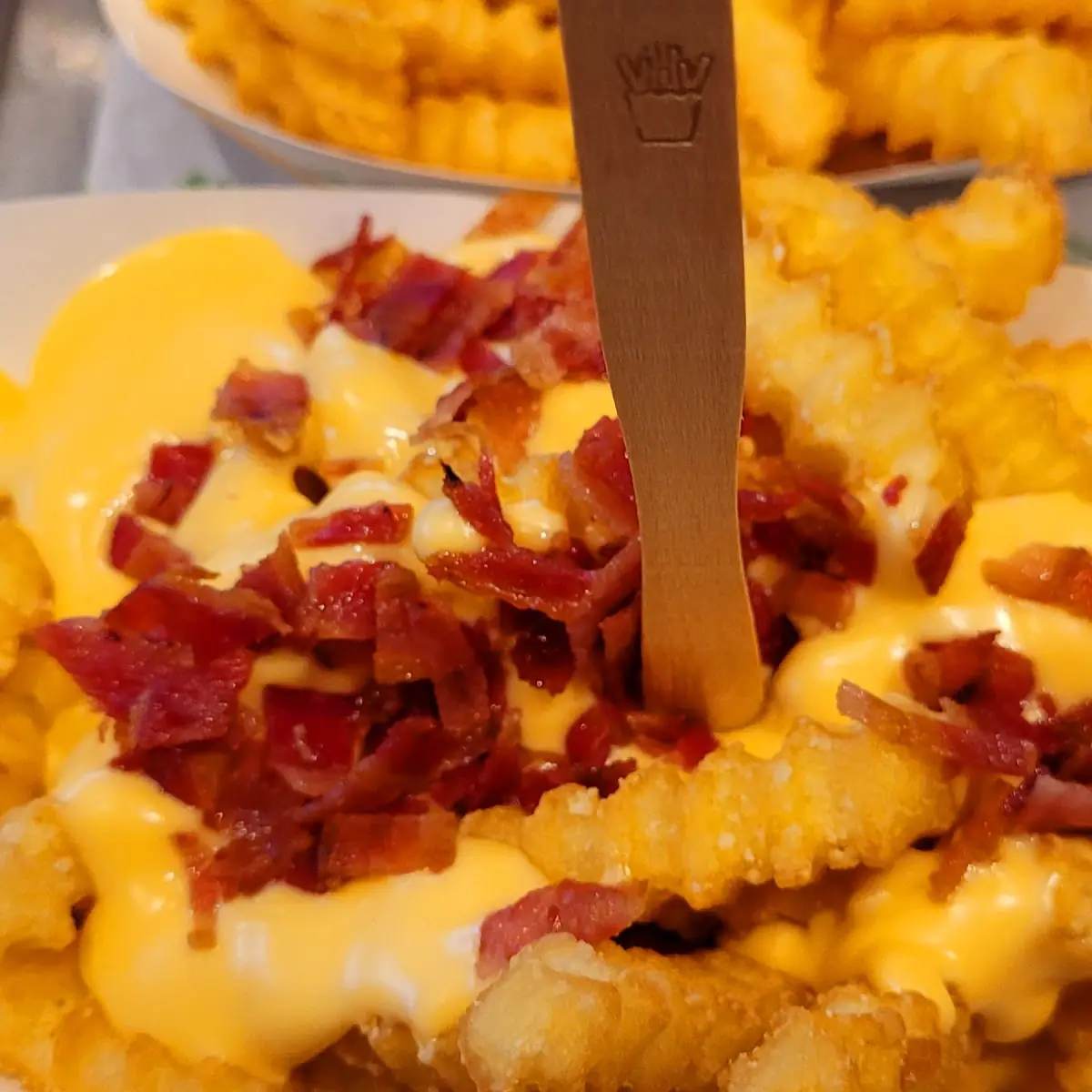 Loaded Fries