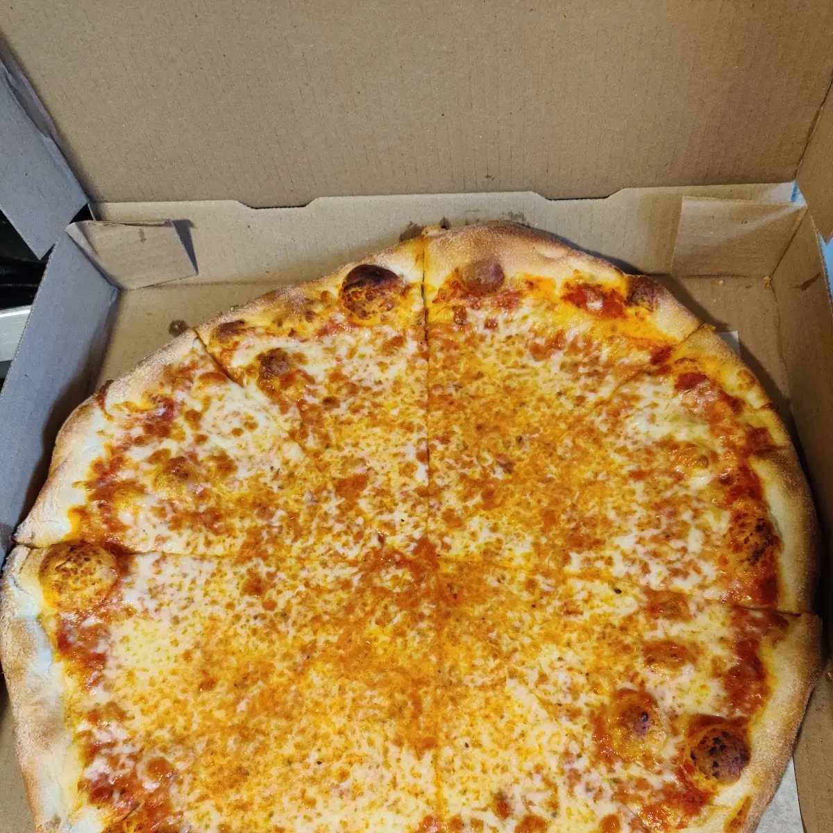 Half Salami Half Extra Cheese Pizza
