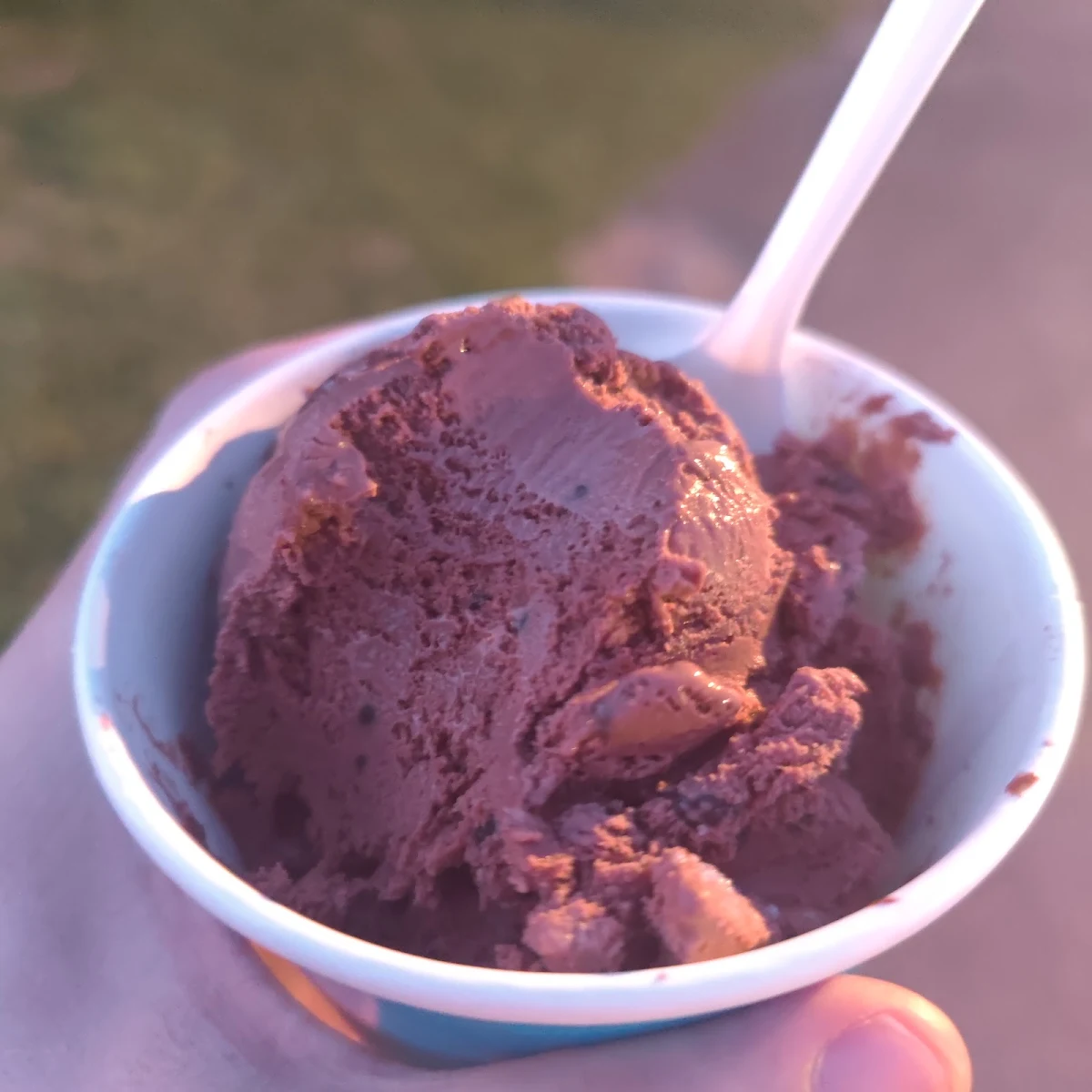 Chocolate Lovers Chocolate Ice Cream