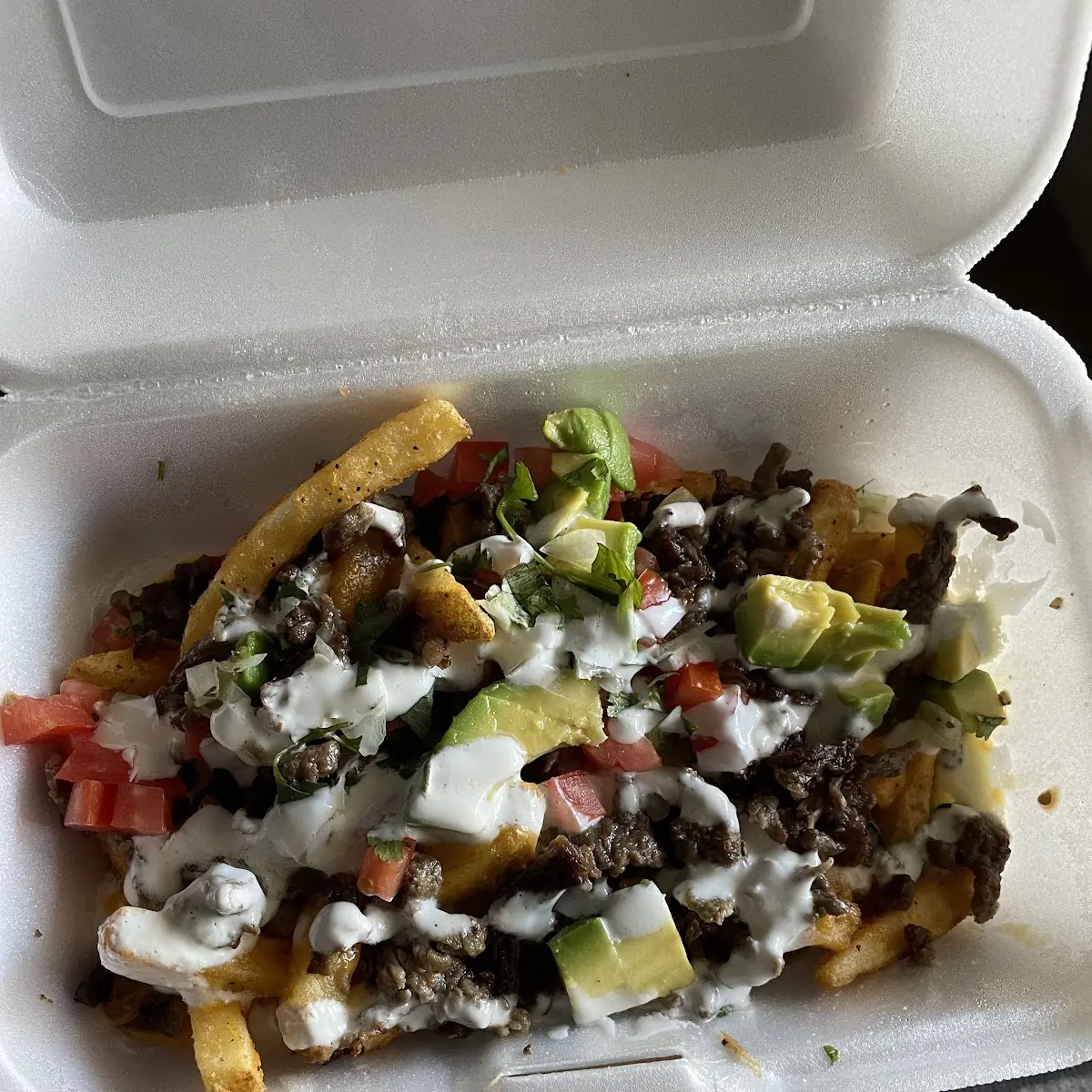 Carne Asada Fries