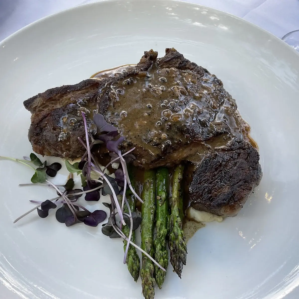Bison Steak
