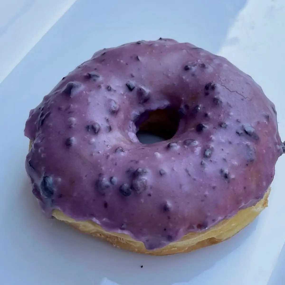Blueberry Glazed Donut