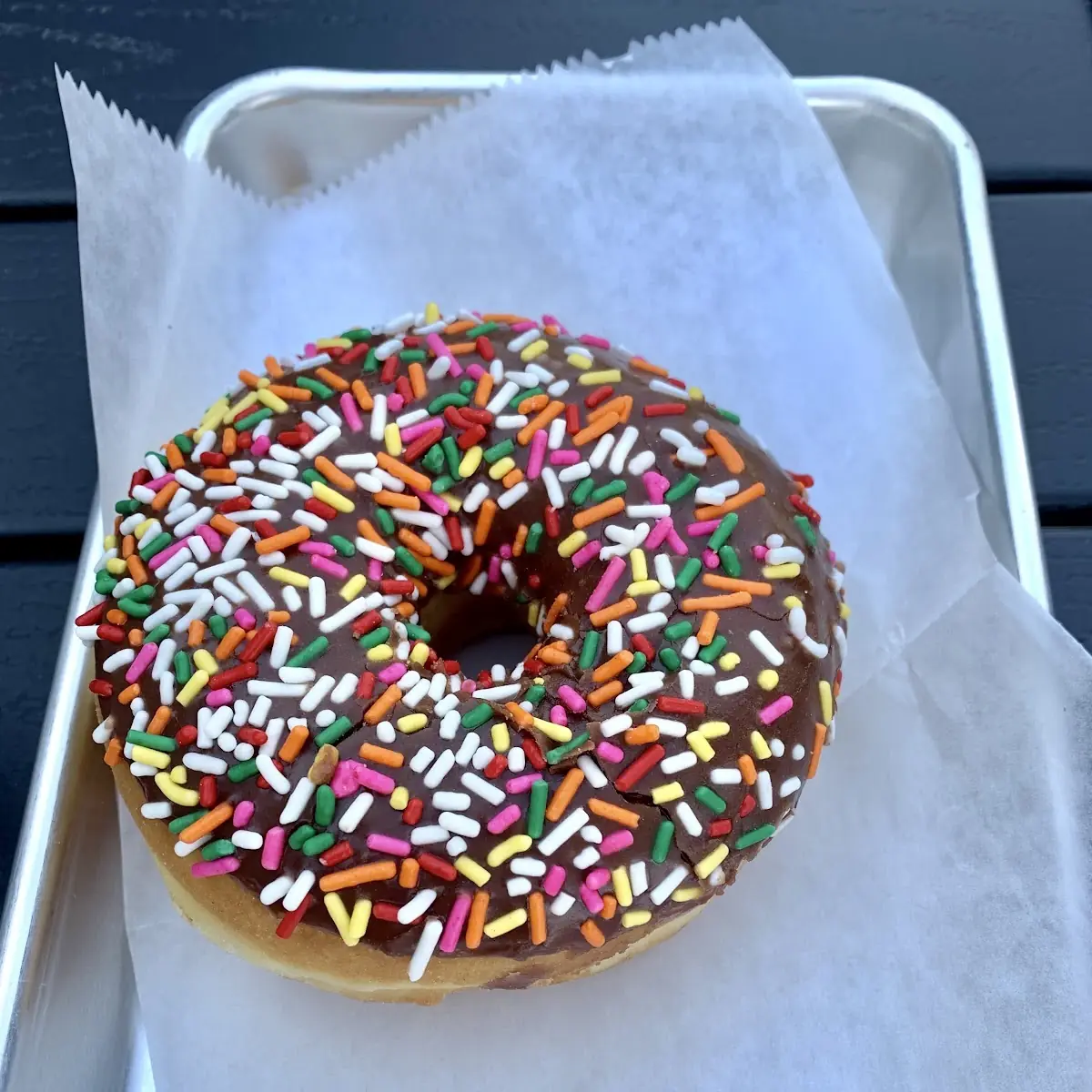 Chocolate Glazed Donut with Sprinkles
