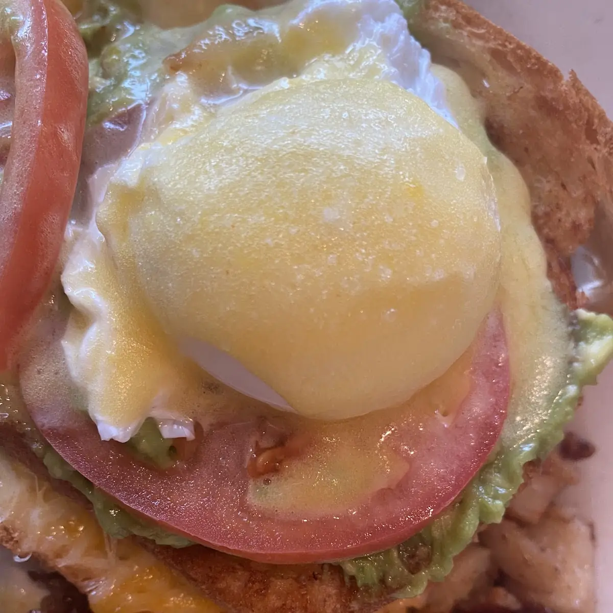 Grilled Cheese Benedict