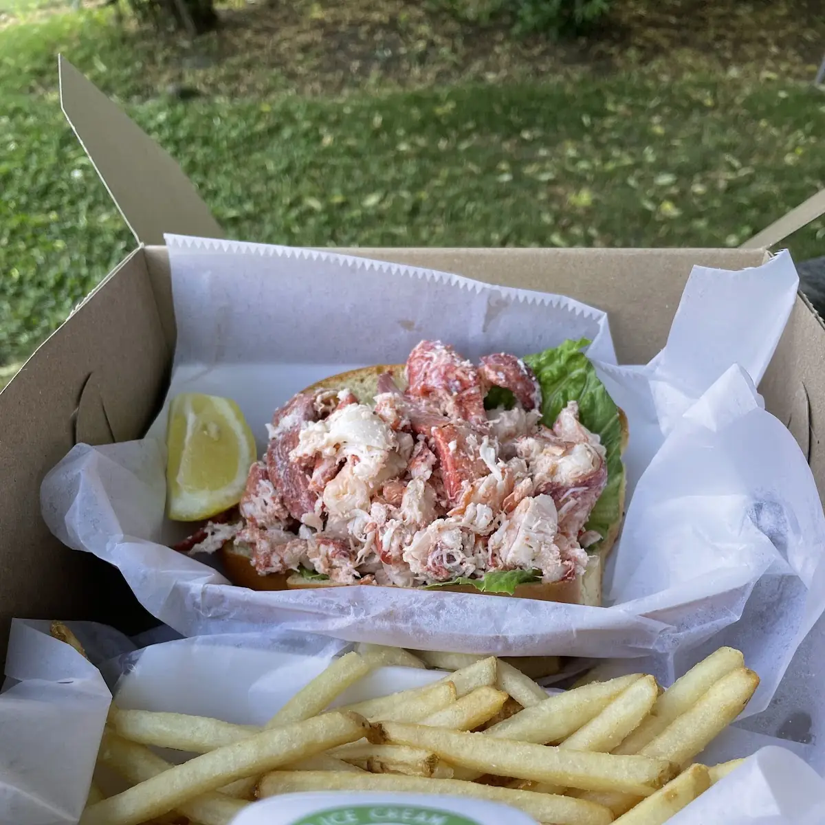 Massive Lobster Roll and Fries