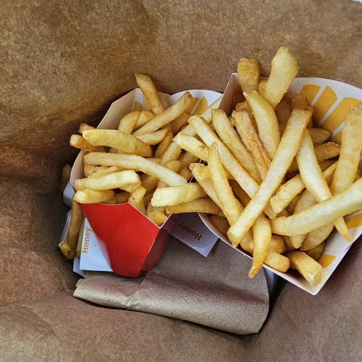 World Famous Fries