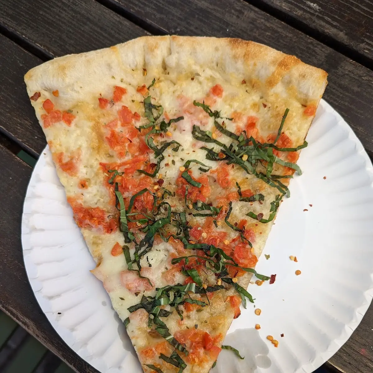 Margarita Pizza Slice