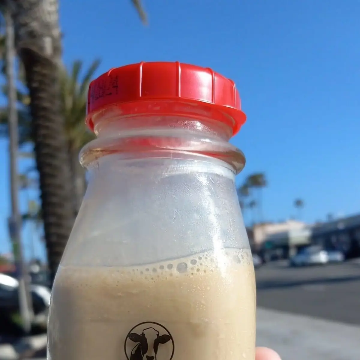 Root Beer Float Milk