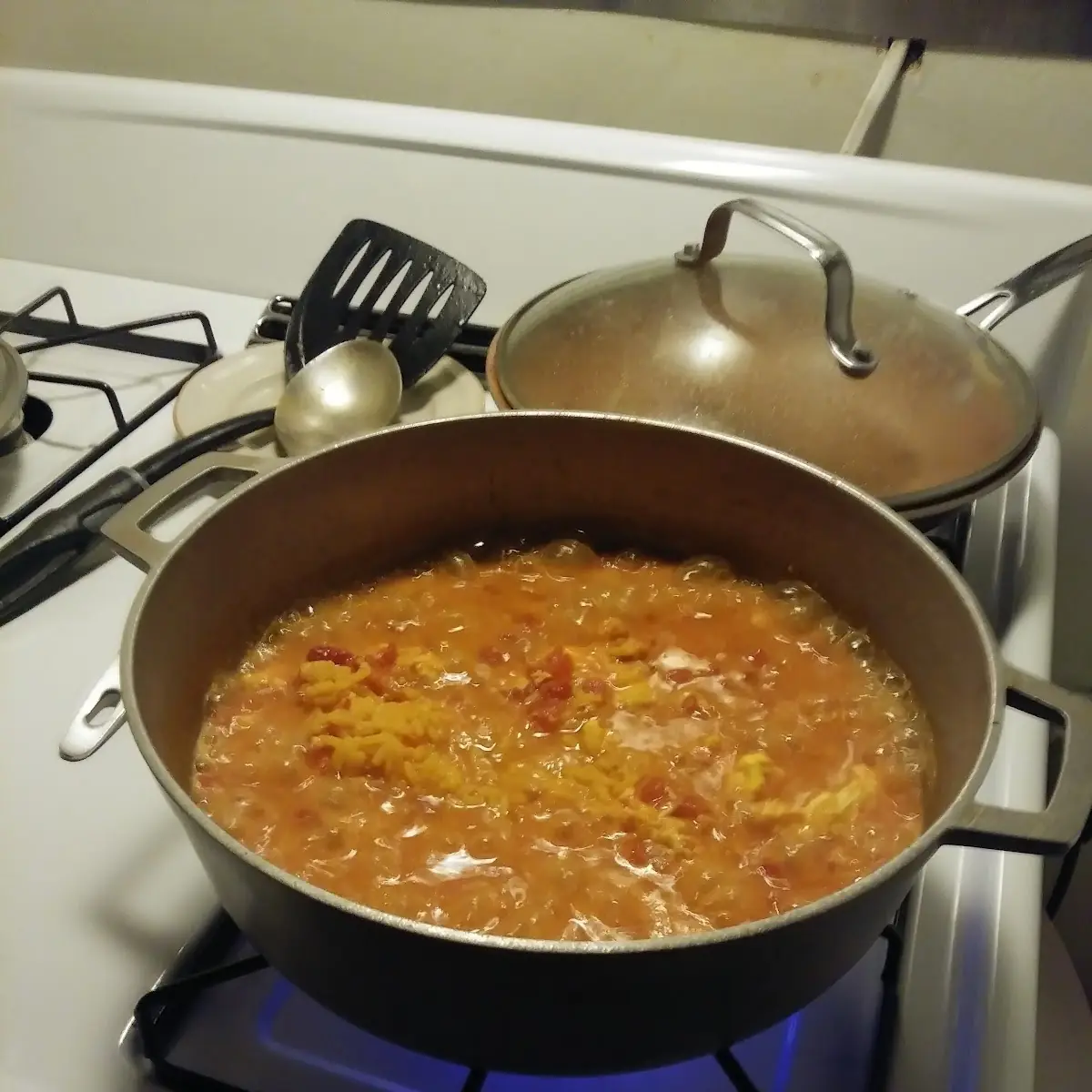 Mexican Rice