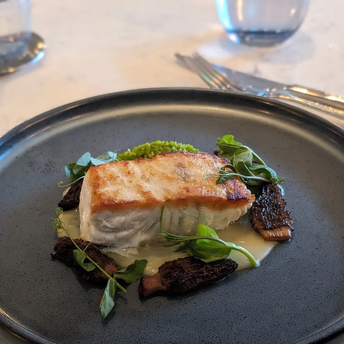 Sea Bass