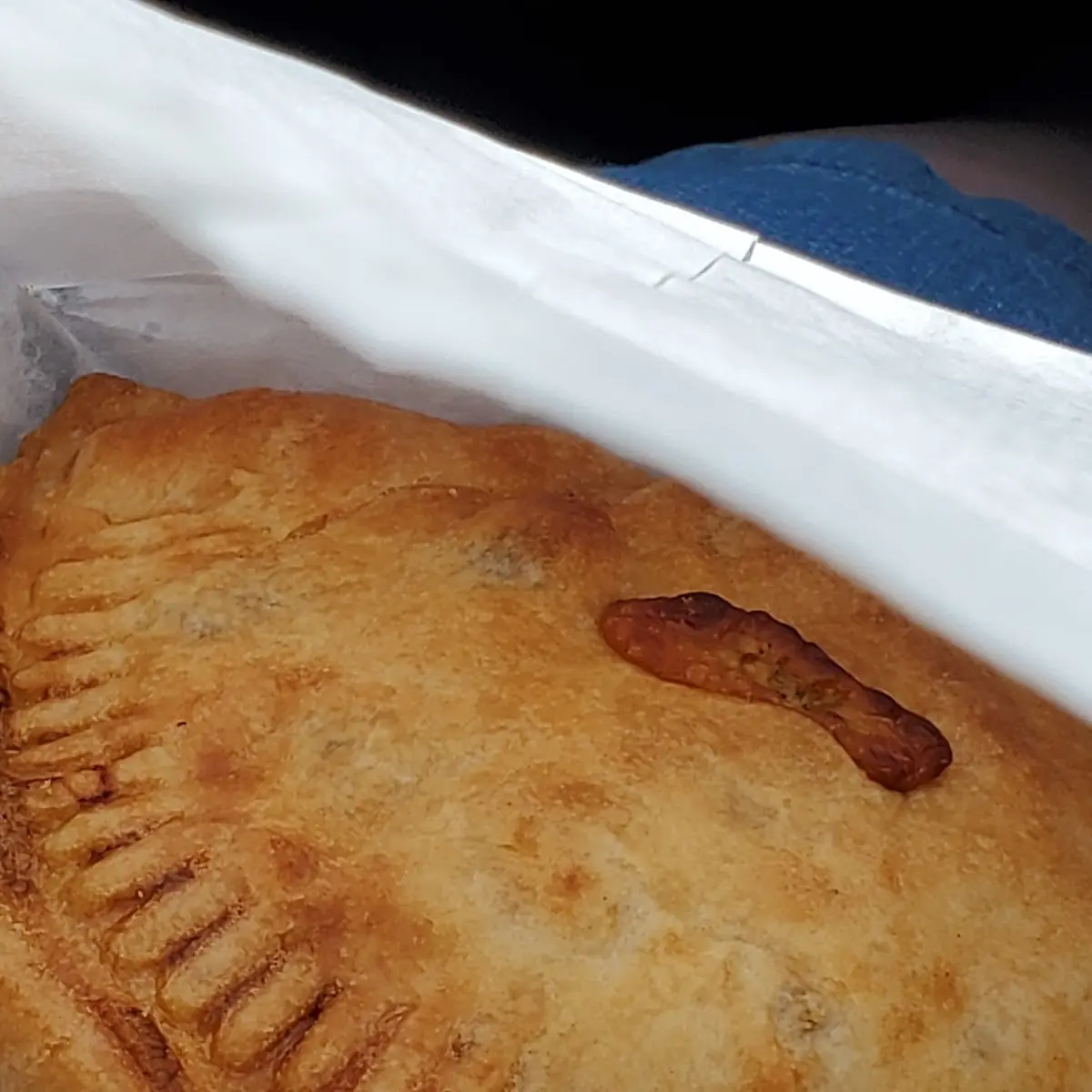 Green Chile Potato Cheese Empanada
