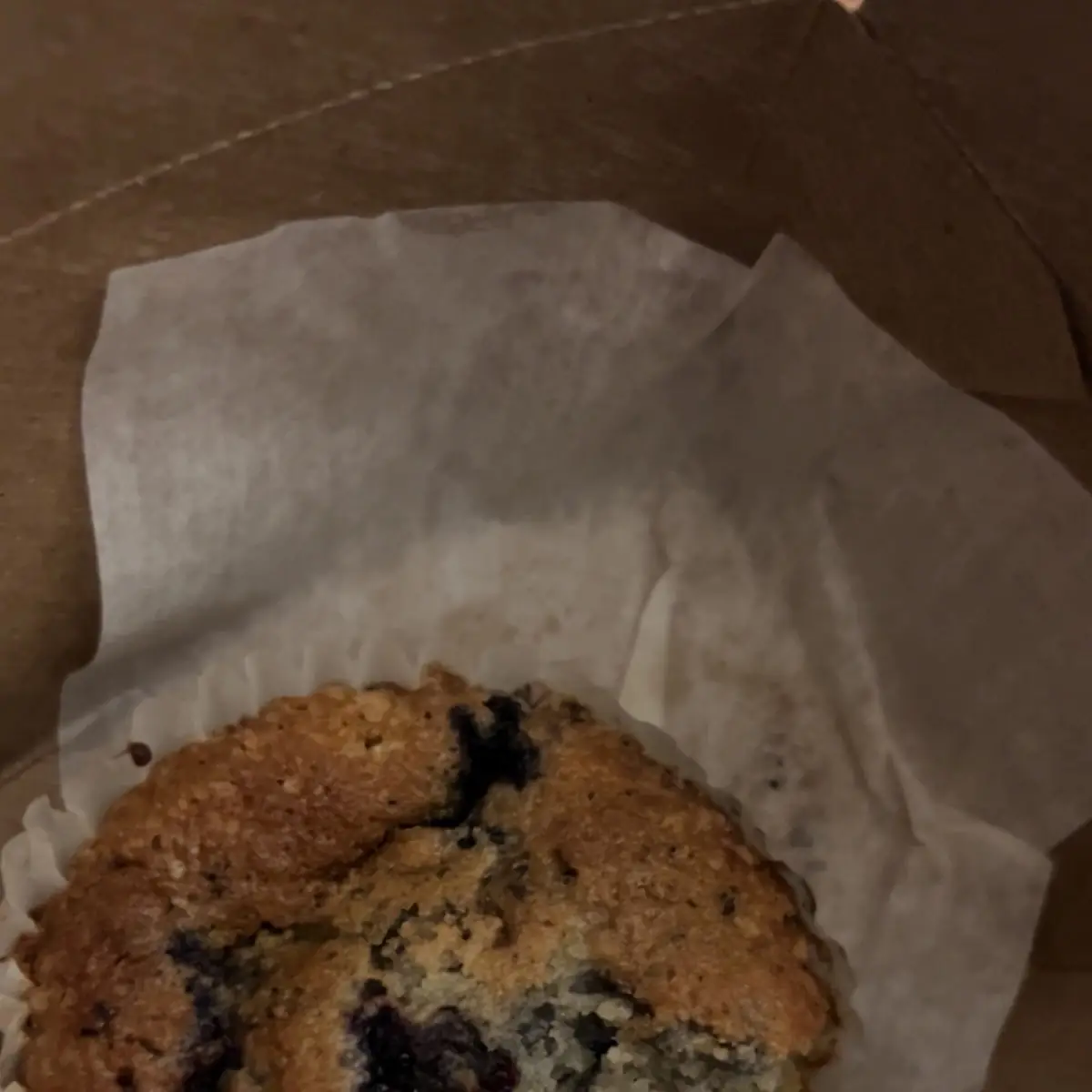 Blueberry Muffin