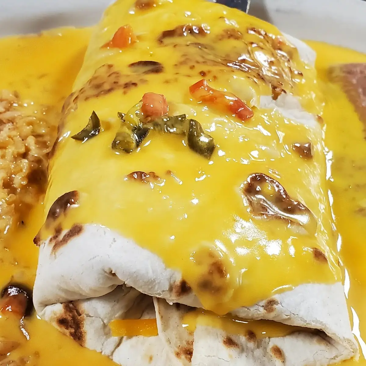 Shredded Chicken Burrito