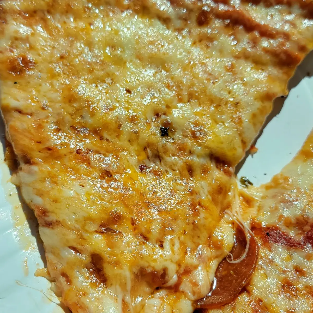 Extra Cheese Pizza
