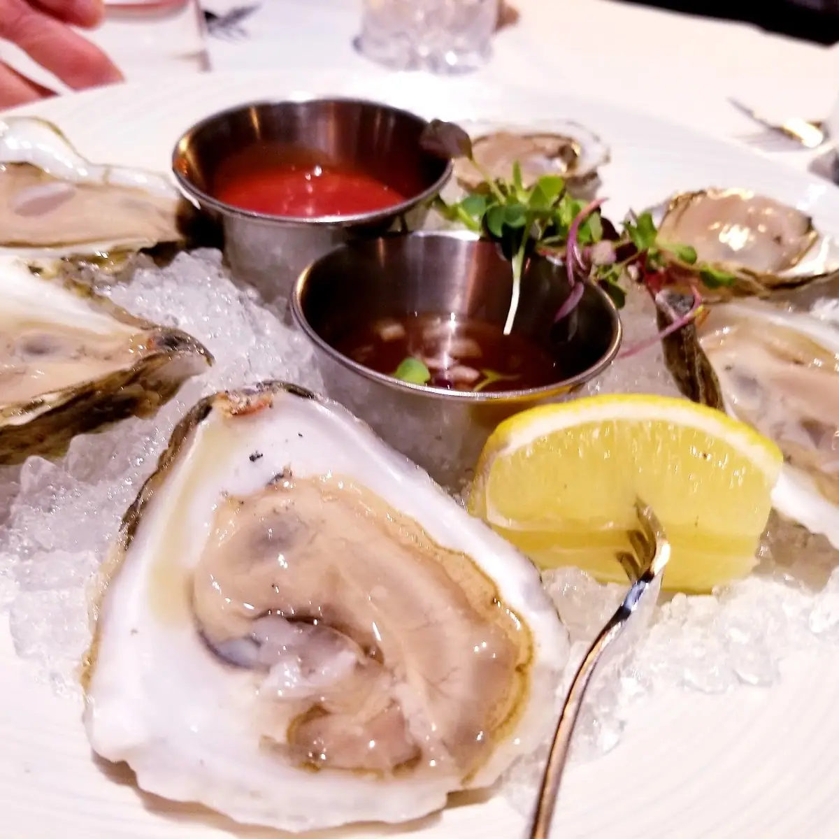 Blue Point Oysters