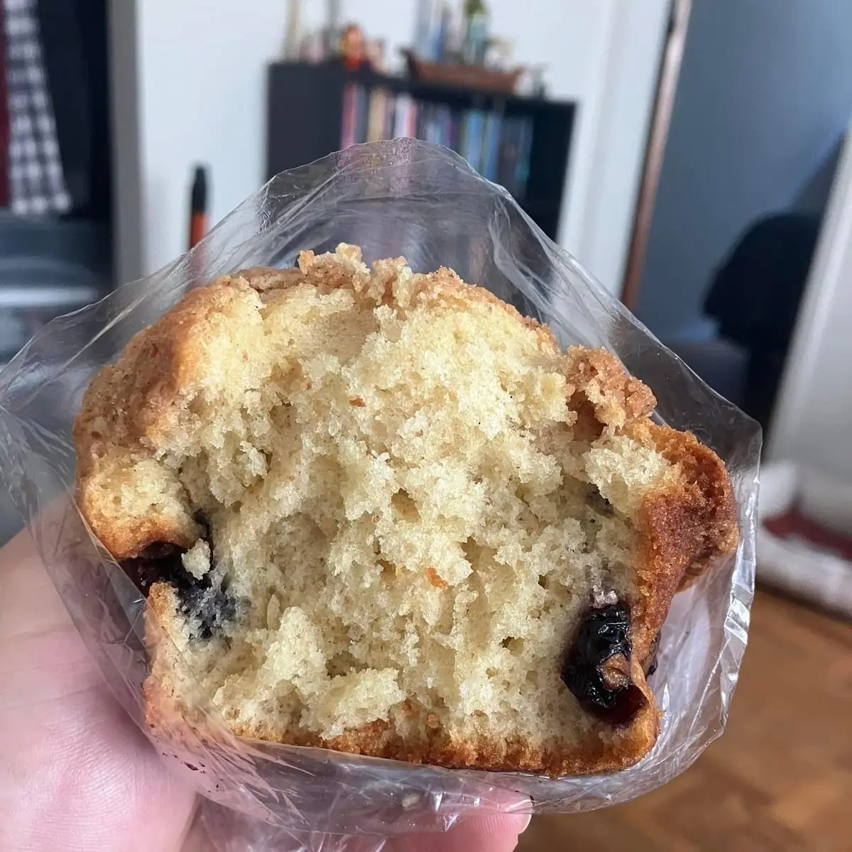 Blueberry Muffin