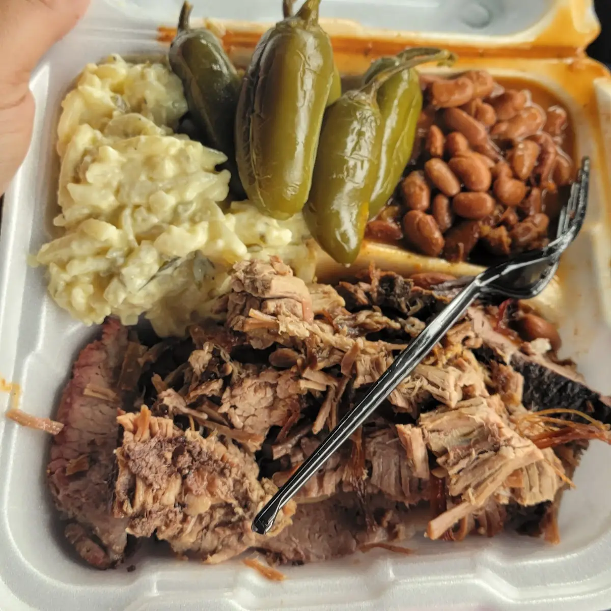 Double Brisket Plate