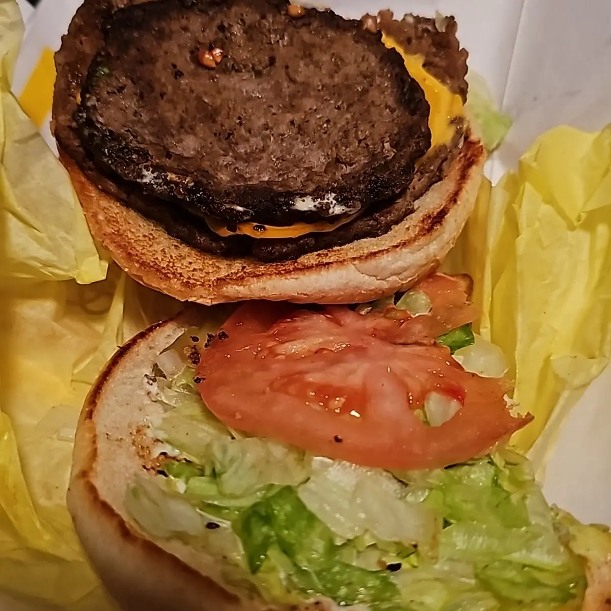 Double Cheeseburger Deluxe What a Shame