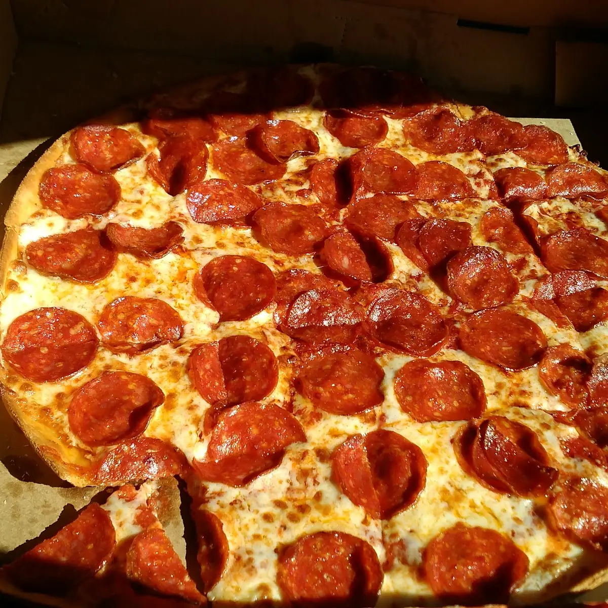 Thin Crust Pizza