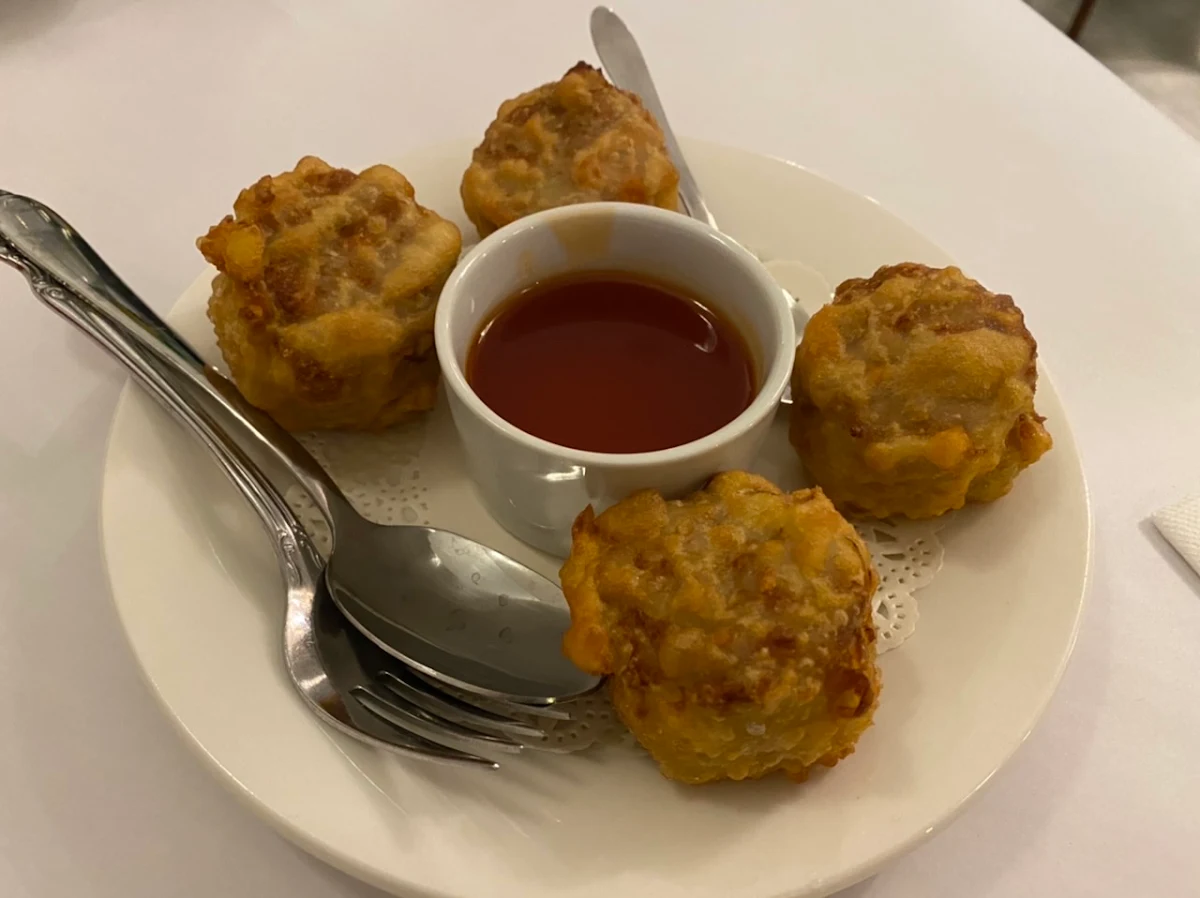 Fried Dim Sims, Tasty Chinese Restaurant