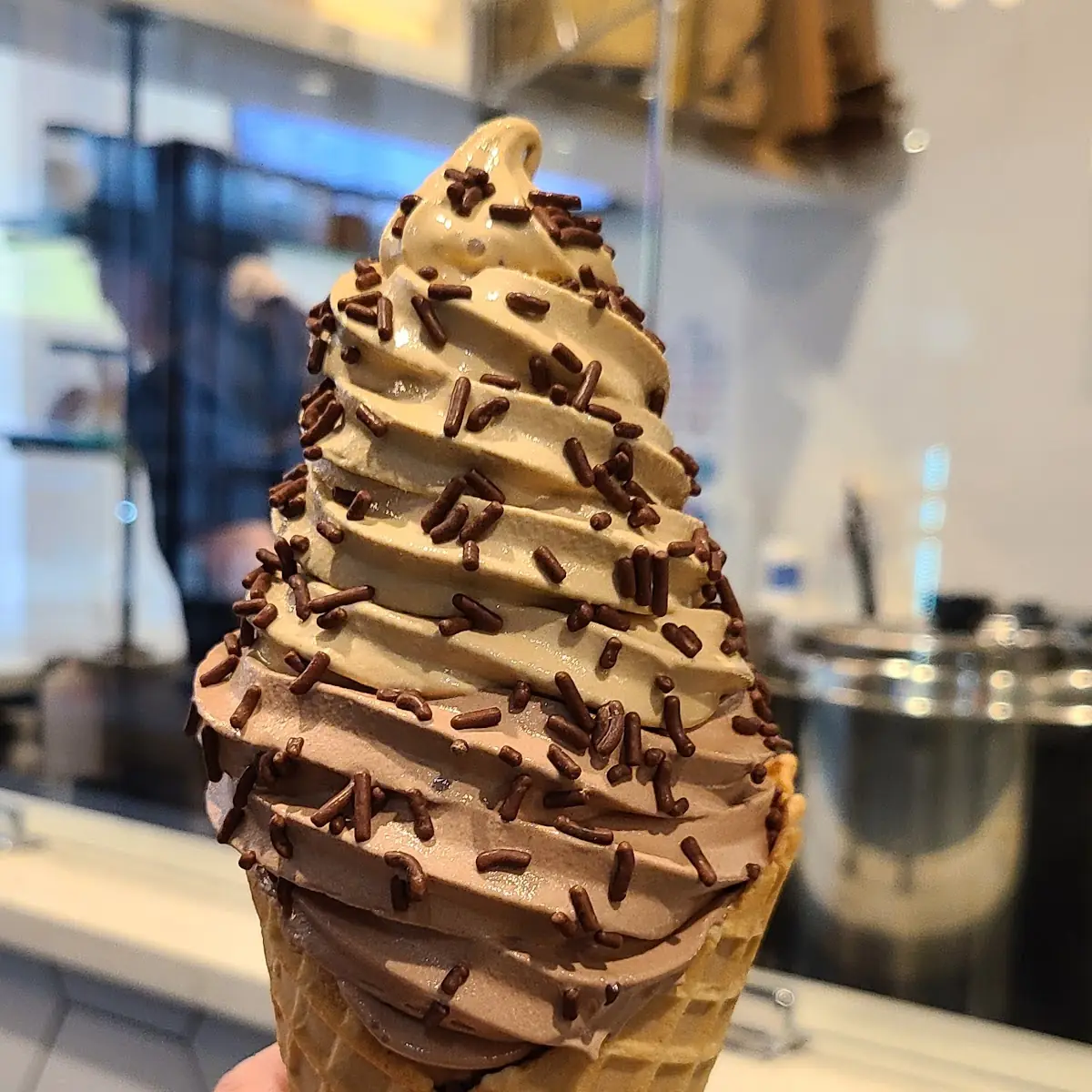 Coffee and Chocolate Ice Cream Cone