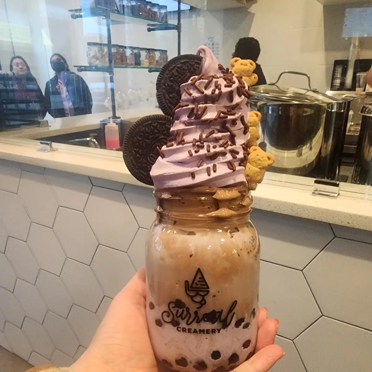 Taro and Chocolate Ice Cream