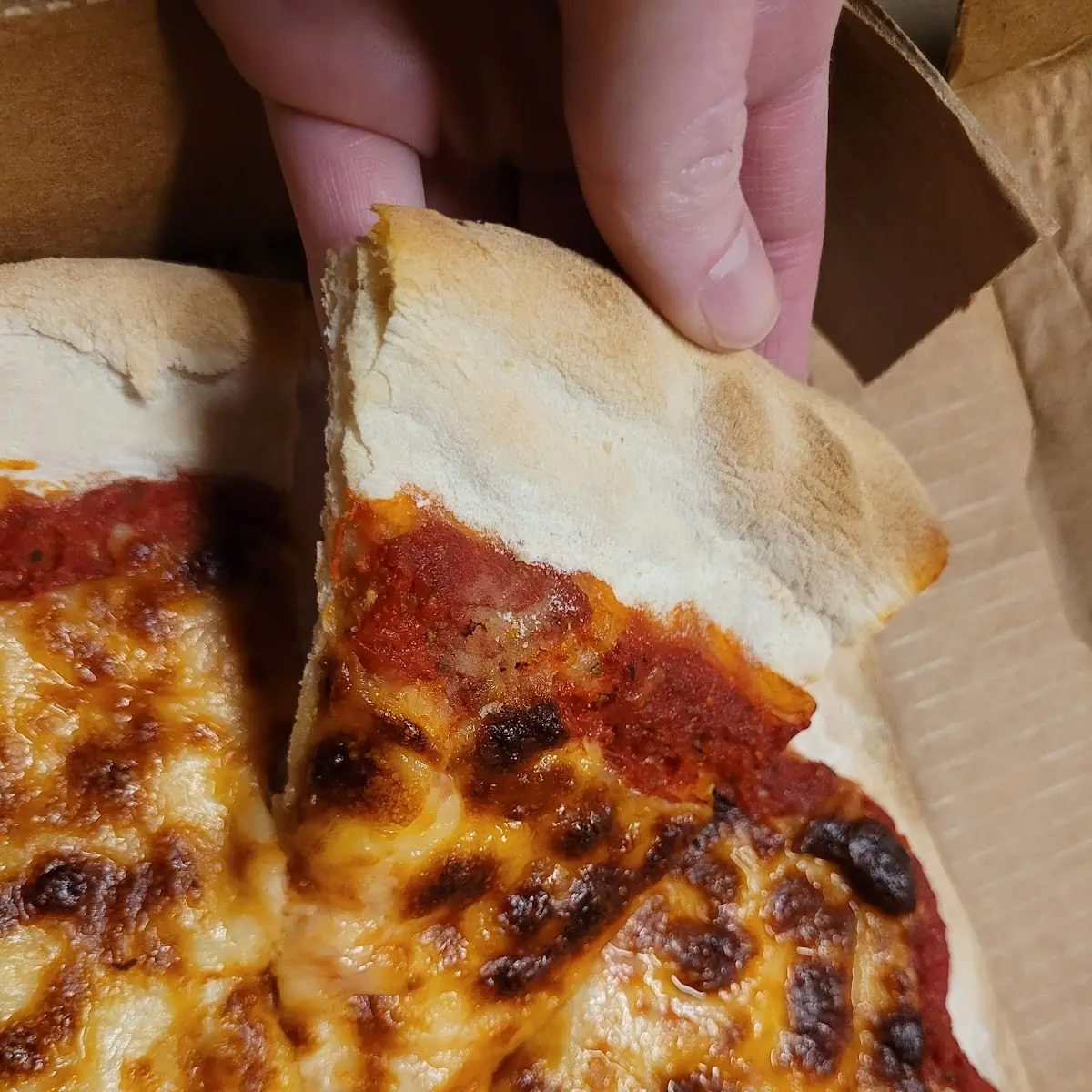 Extra Cheese Pizza