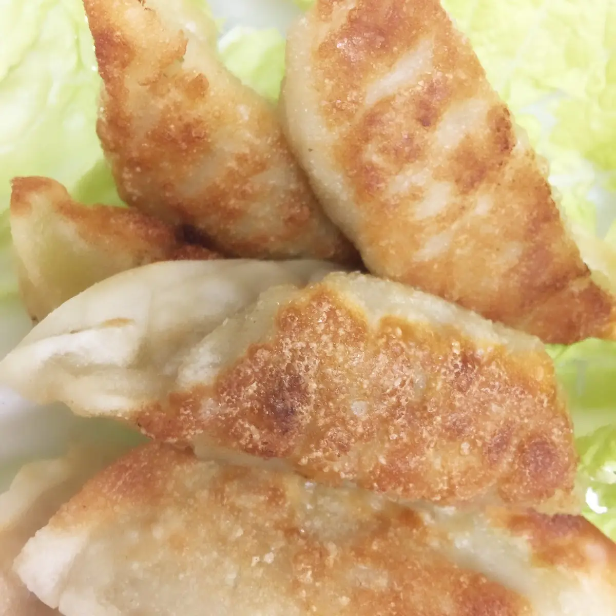 Fried Dumplings