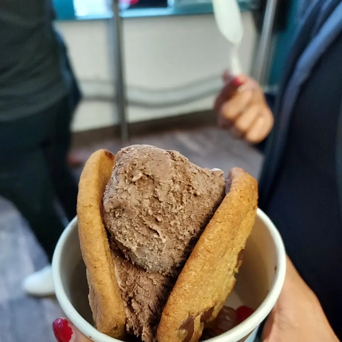 Chocolate Ice Cream Sandwich