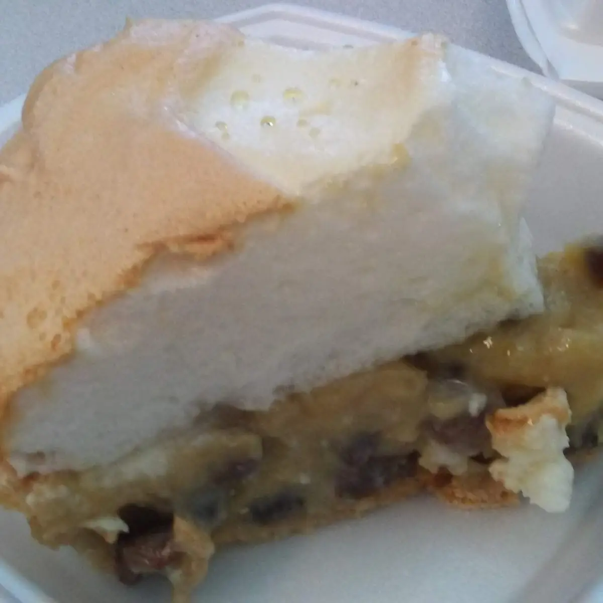 Sour Cream Rasin Pie