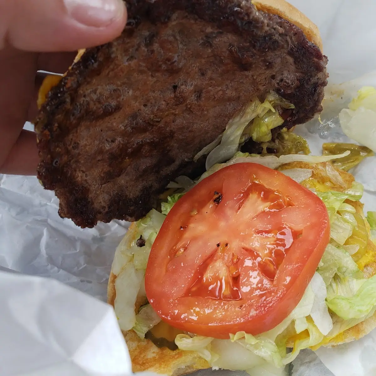 Regular Green Chile Cheeseburger Fresh Veggies