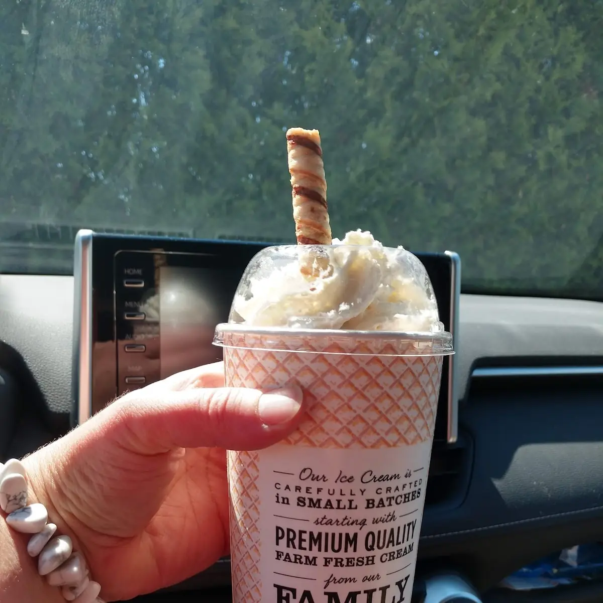 Vanilla Ice Cream Shake