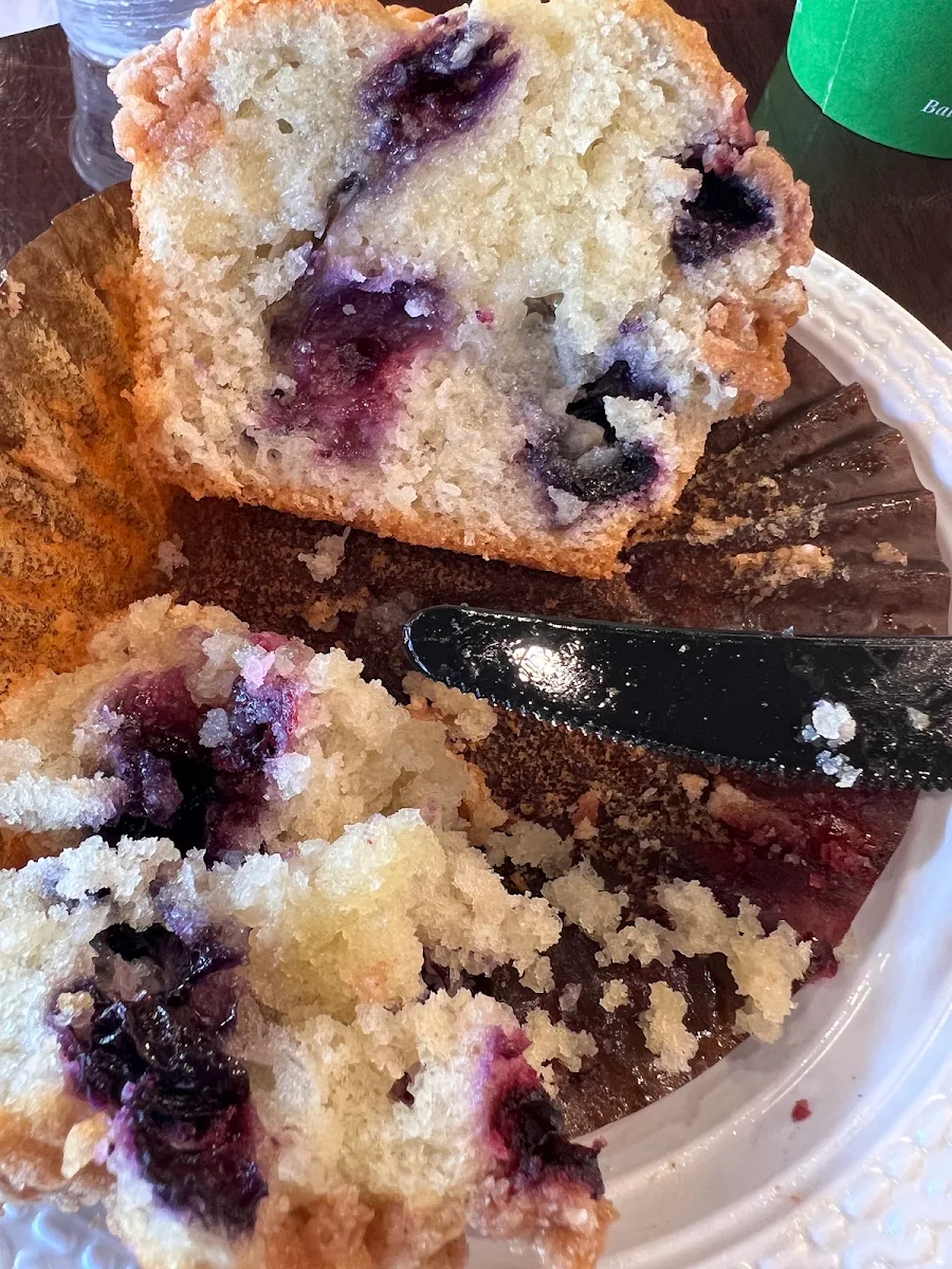 Blueberry Muffin