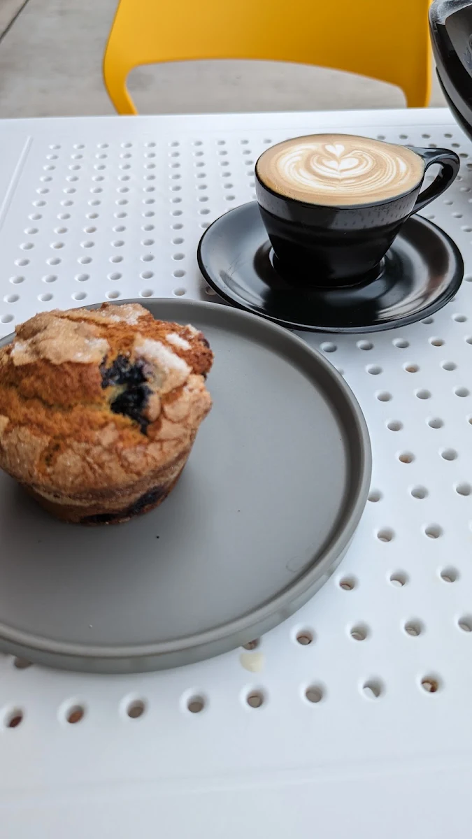 Blueberry Muffin