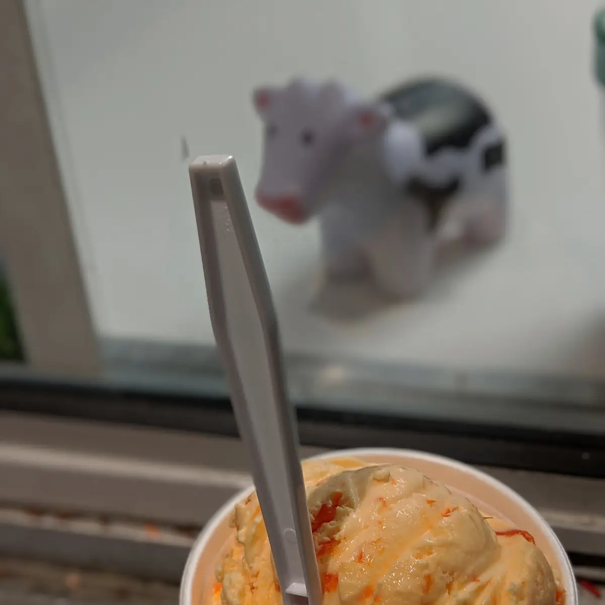 Hand Packed Ice Cream