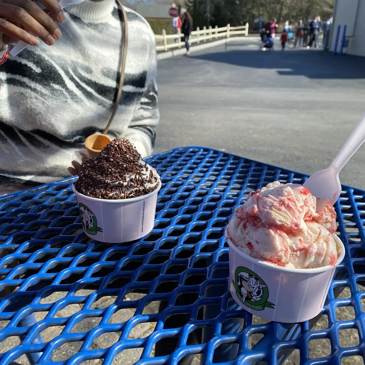 Strawberry Cheesecake Icecream