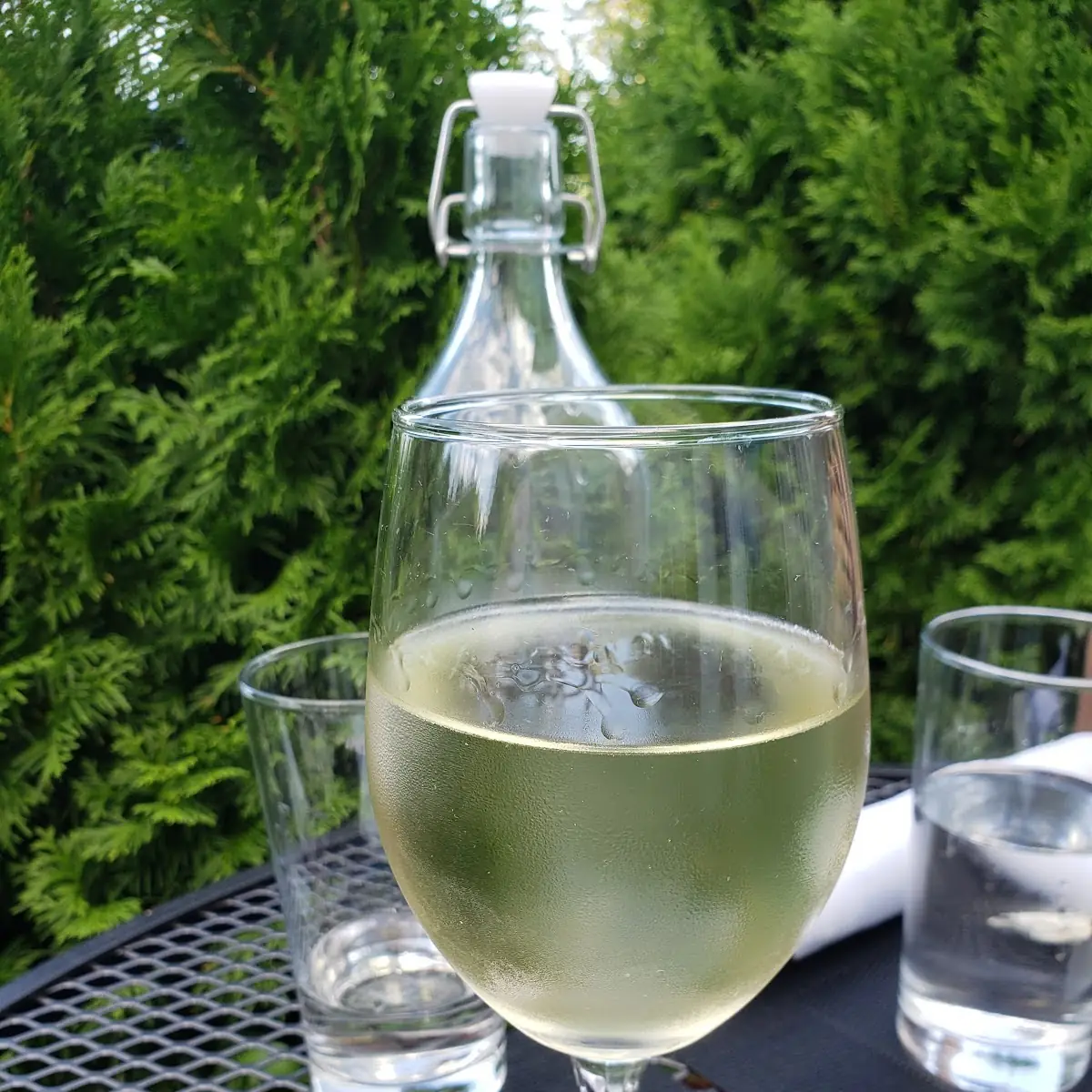 Pinot Grigio