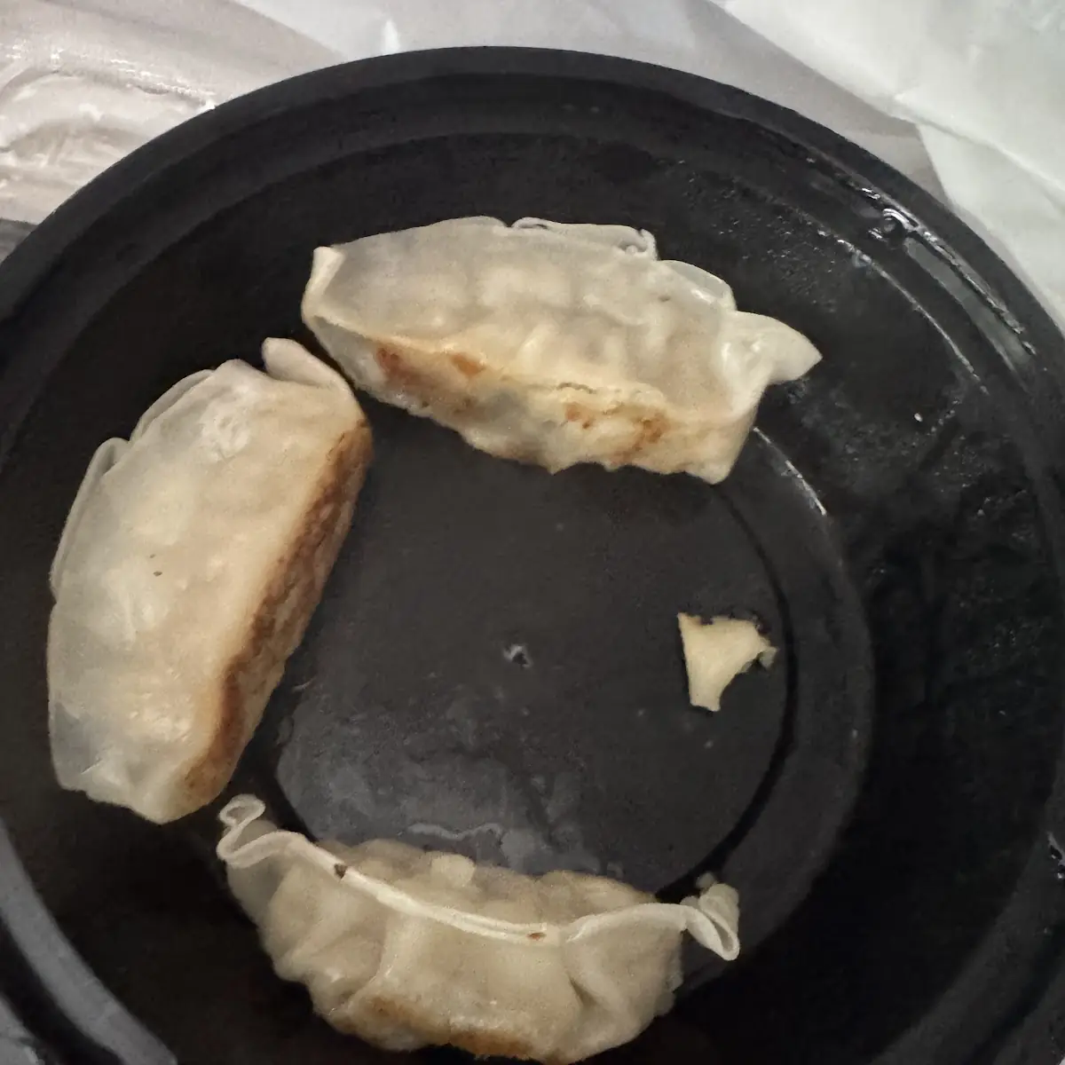 Pan-Fried Pork Gyoza